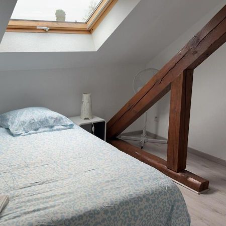 Ferienwohnung Le Manoir De Cyrielle A 10 Min Du Centre De Strasbourg Bischheim Exterior foto