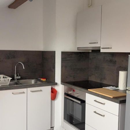 Ferienwohnung Le Manoir De Cyrielle A 10 Min Du Centre De Strasbourg Bischheim Exterior foto